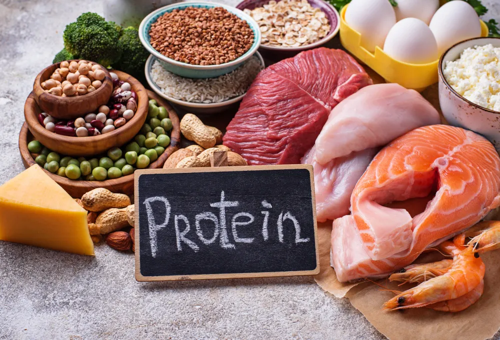 Protein Power - Why Every Meal Needs a Dose of It